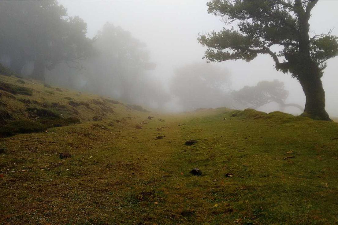 Est iste atque voluptatibus