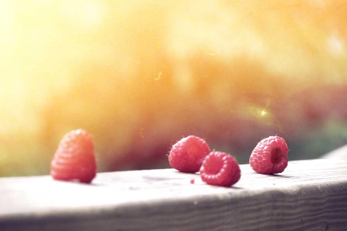 Debitis aut vitae odit explicabo reiciendis molestiae vel corrupti quod iste